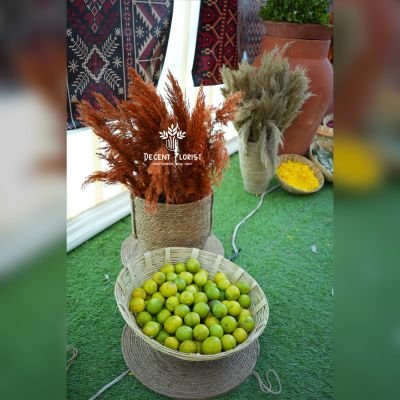 Haldi Mehndi